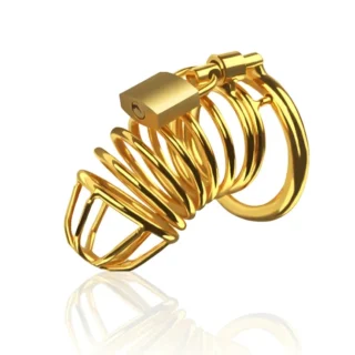 قفل القضيب – قفص العفة الذهبي من ستانلس ستيل بتصميم مريح وآمن للألعاب الزوجية مع توصيل سري